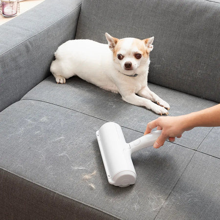 Produtos para Animais de Estimação