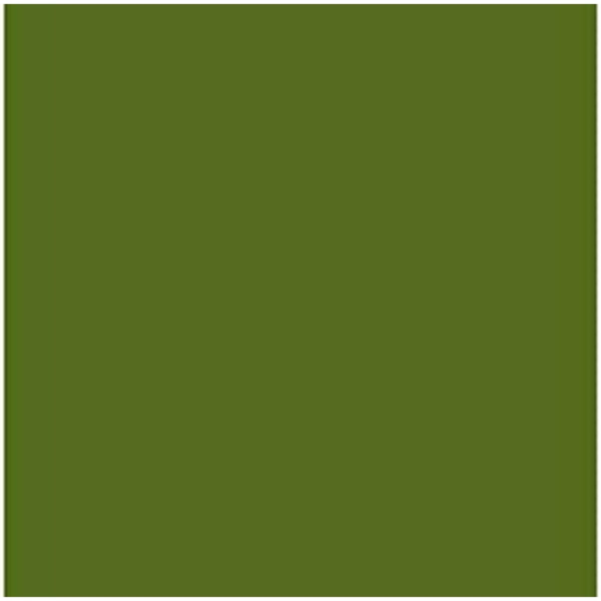 Cartolina Iris Verde militar 50 x 65 cm