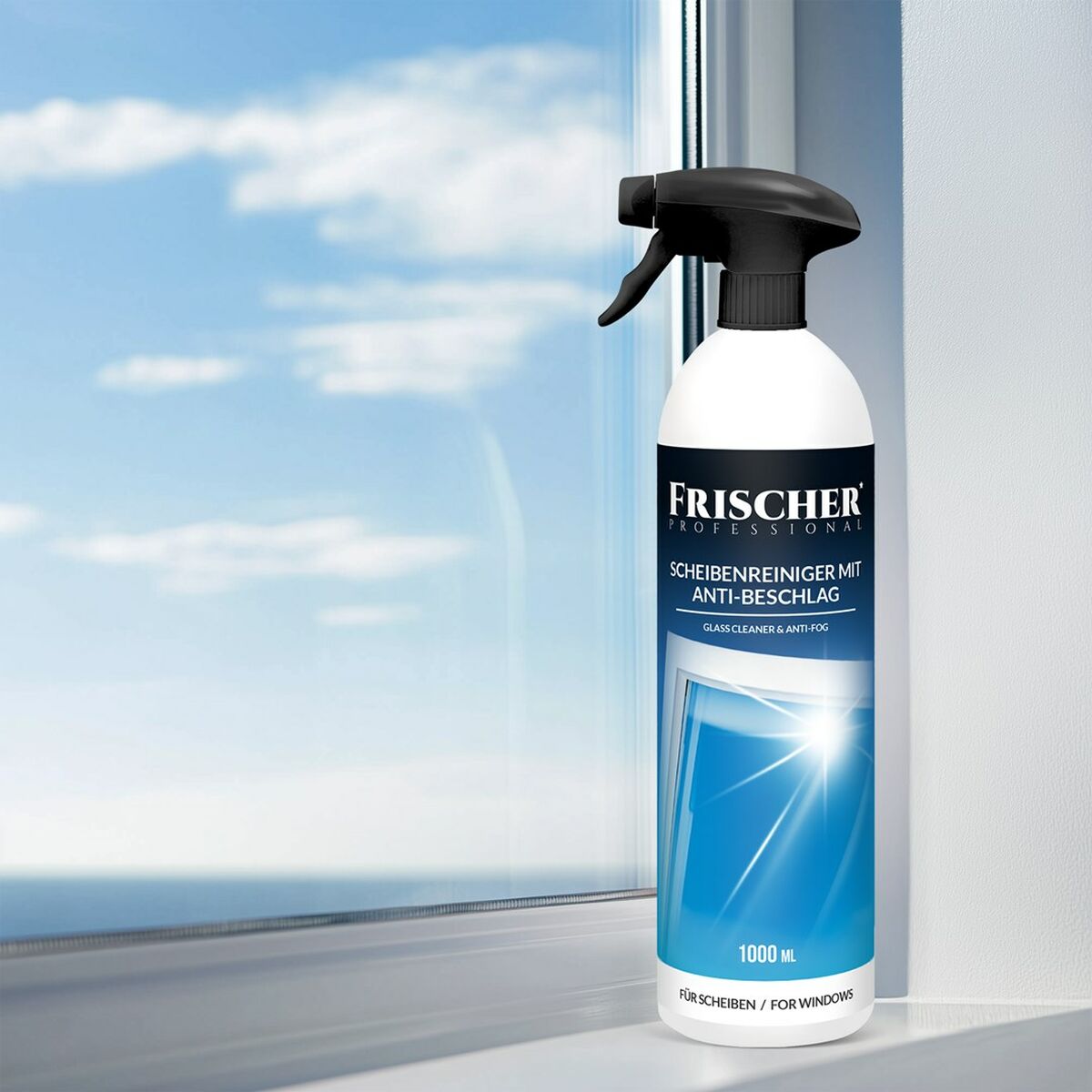 Limpador Frischer FR00233_1000