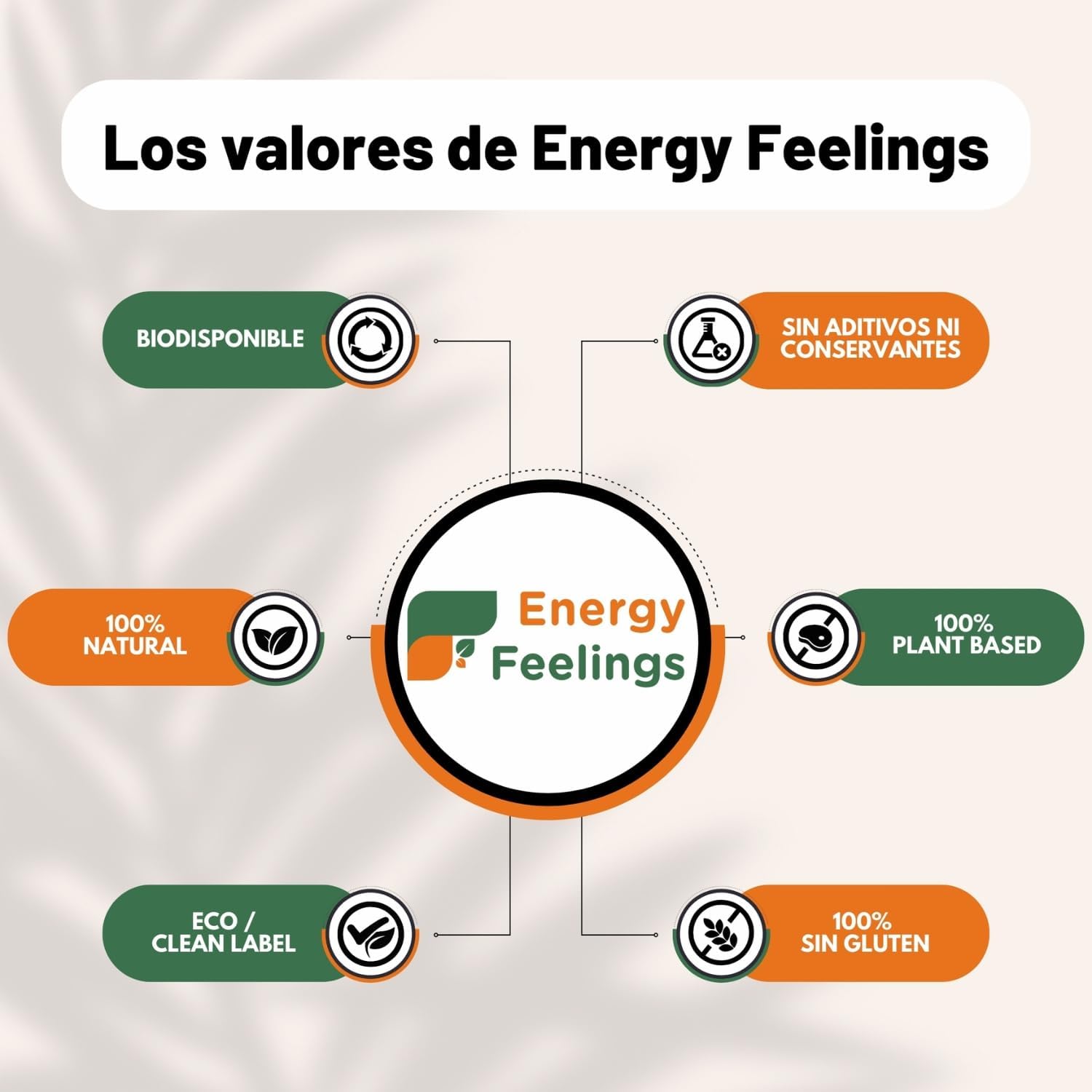 Energy Feelings Levedura nutricional B12, 1 kg, levedura nutritiva em flocos rica em vitamina B e proteínas, 51%, natural Yeast sem glúten, sem açúcar, ideal para queijo vegano