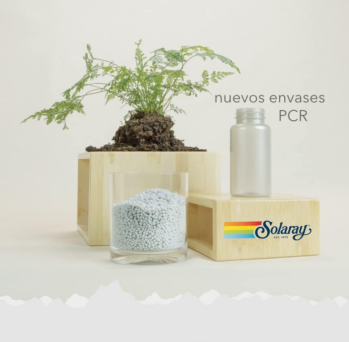 Solaray Magnesio Bisglycinato | Alta absorción | sin glute | apto para veganos|120 Veg Caps