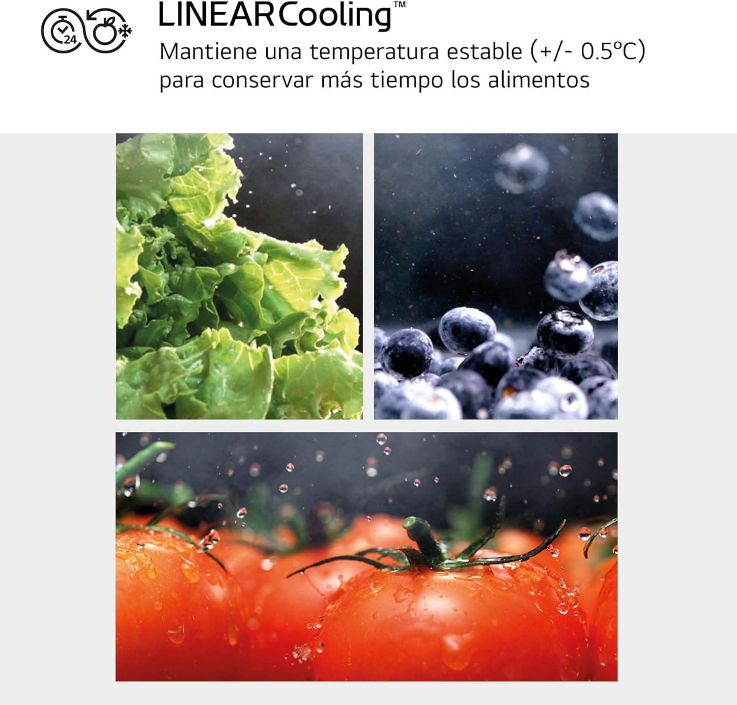 LG GML960PYBE - Frigorífico Americano, Nevera Americana Combi, Door Clooning+, Clasificación E, 641 L, Antihuellas, Color Inox