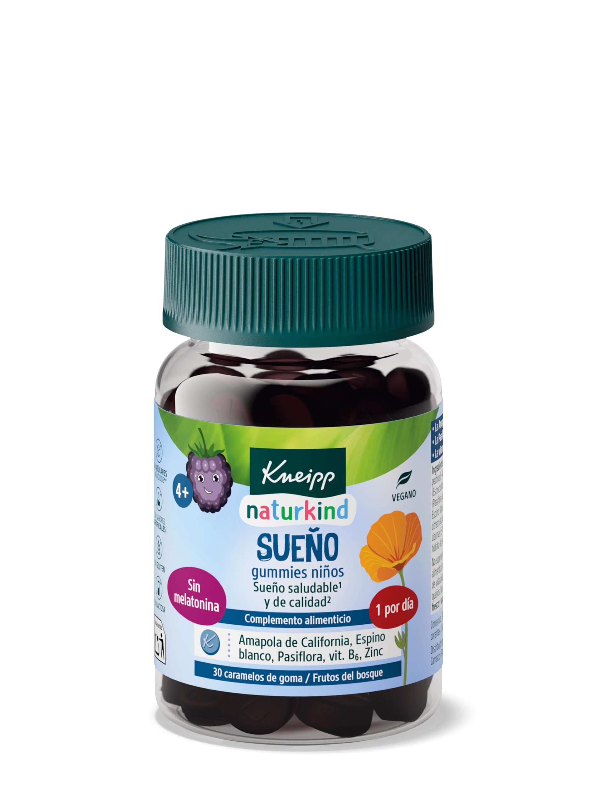 Kneipp Gummies Concentração para crianças, vitaminas A, D, E, C B3, B5, B6, B12, ácido fólico, íodo, óleo de linhaça: Omega 3, 6 e 9, desempenho intelectual, sistema nervoso, sabor laranja, 30 Gomin.