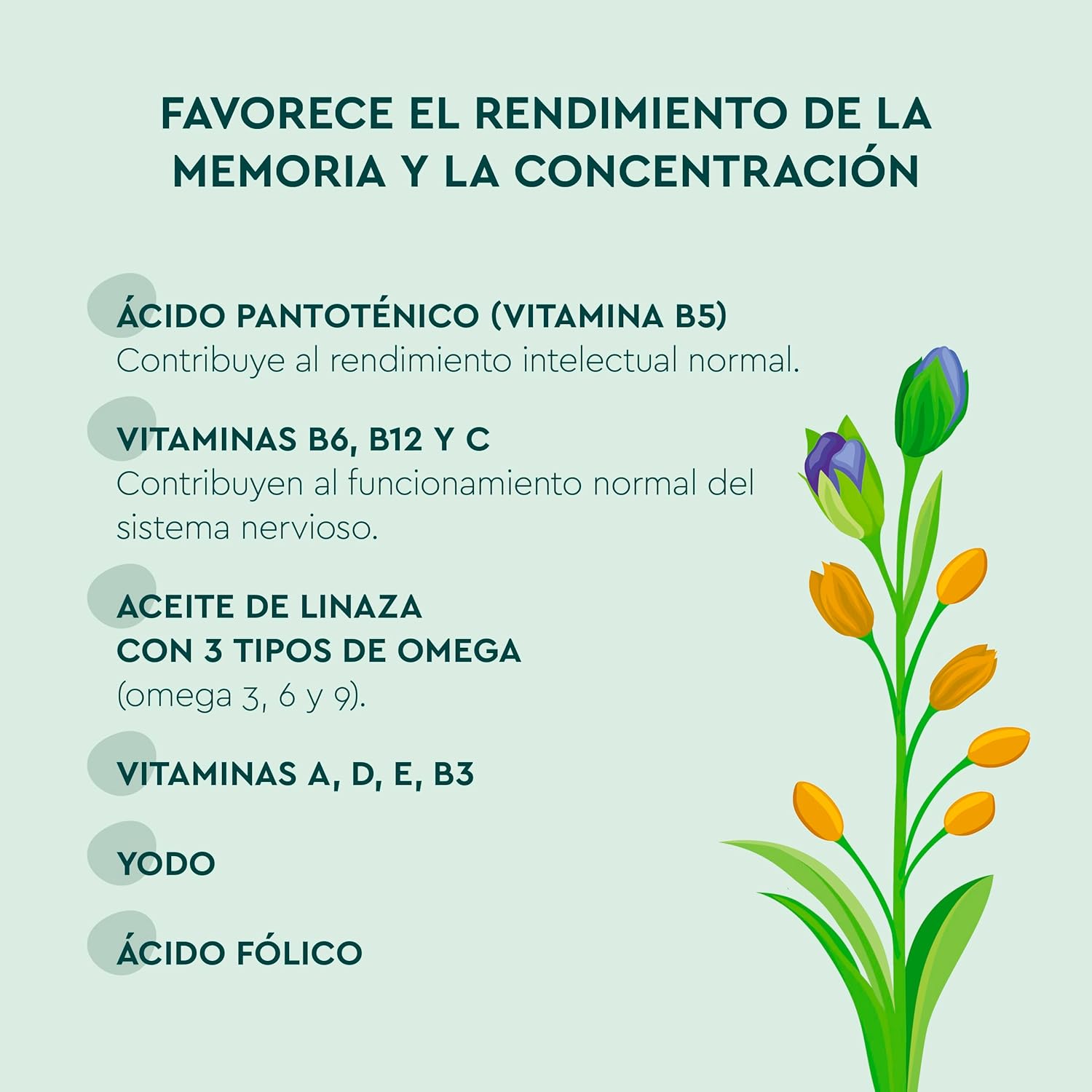 Kneipp Gummies Concentração para crianças, vitaminas A, D, E, C B3, B5, B6, B12, ácido fólico, íodo, óleo de linhaça: Omega 3, 6 e 9, desempenho intelectual, sistema nervoso, sabor laranja, 30 Gomin.