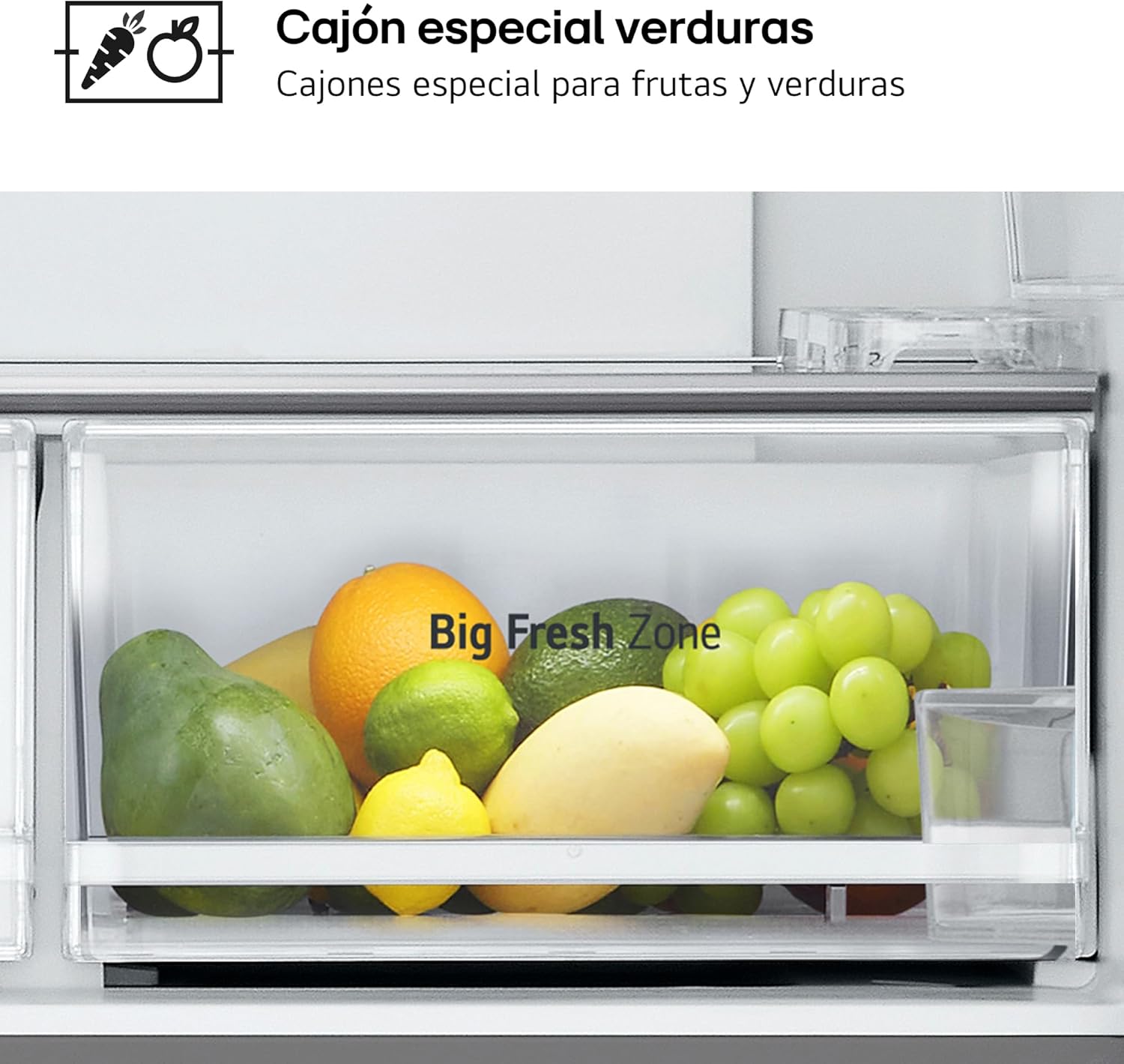 LG GMM41MSBEM - Frigorífico Americano Combi, Total No Frost, Clasificación E, Capacidad 474L, Silver