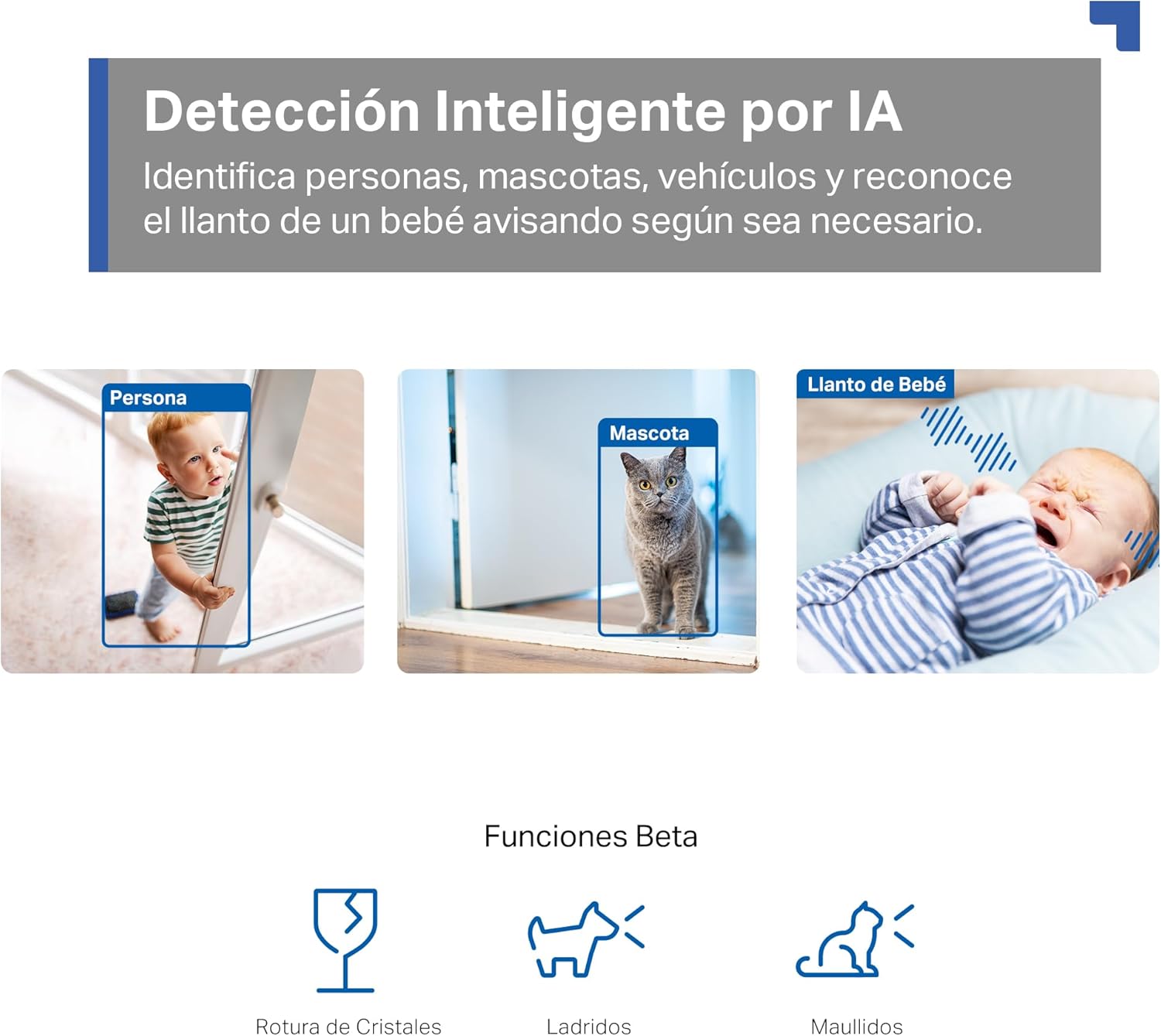 Tapo C230 - IA Cámara Vigilancia 360°, 3K 5MP, Alarma Sonora/Luz, Visión Nocturna, Audio Bidireccional, AI Detección Movimiento, Control Google/Alexa, Tarjeta SD hasta 512G, Fácil configuración