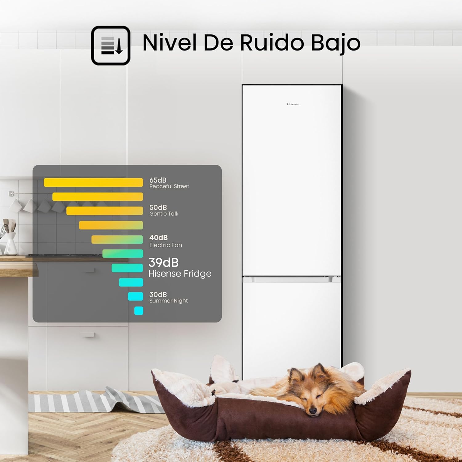 Hisense RB343D4CWE Frigoríficos Combi, 269 L, classe E, 55 cm x 180 cm, abertura de portas de 90º, porta reversível, gavetas frutas e legumes, iluminação LED, varanda de grande capacidade, branco