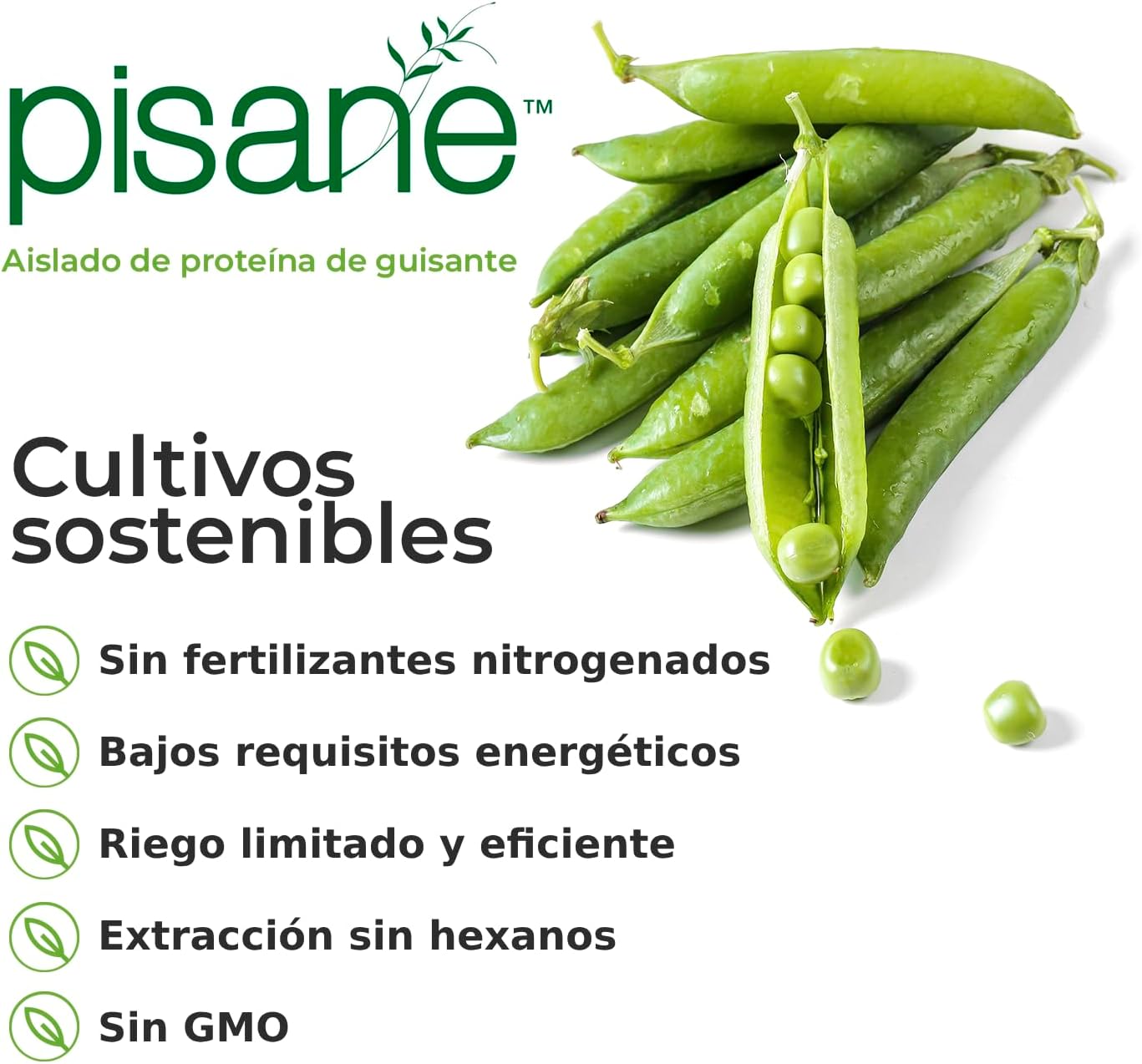 Weider Vegan Protein (750g) Sabor Vainilla. Proteína Vegana 23g/dosis Aislada Guisante (Pisane) y Arroz. Con Vitamina B12 y Stevia. Sin Gluten, Sin Azúcar. Bote 50% Reciclado, 100% Reciclable