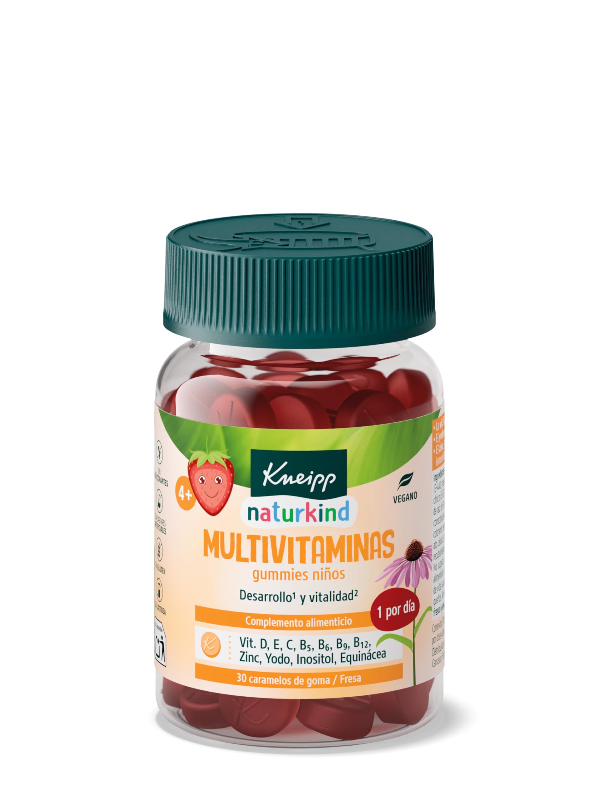 Kneipp Gummies Concentração para crianças, vitaminas A, D, E, C B3, B5, B6, B12, ácido fólico, íodo, óleo de linhaça: Omega 3, 6 e 9, desempenho intelectual, sistema nervoso, sabor laranja, 30 Gomin.