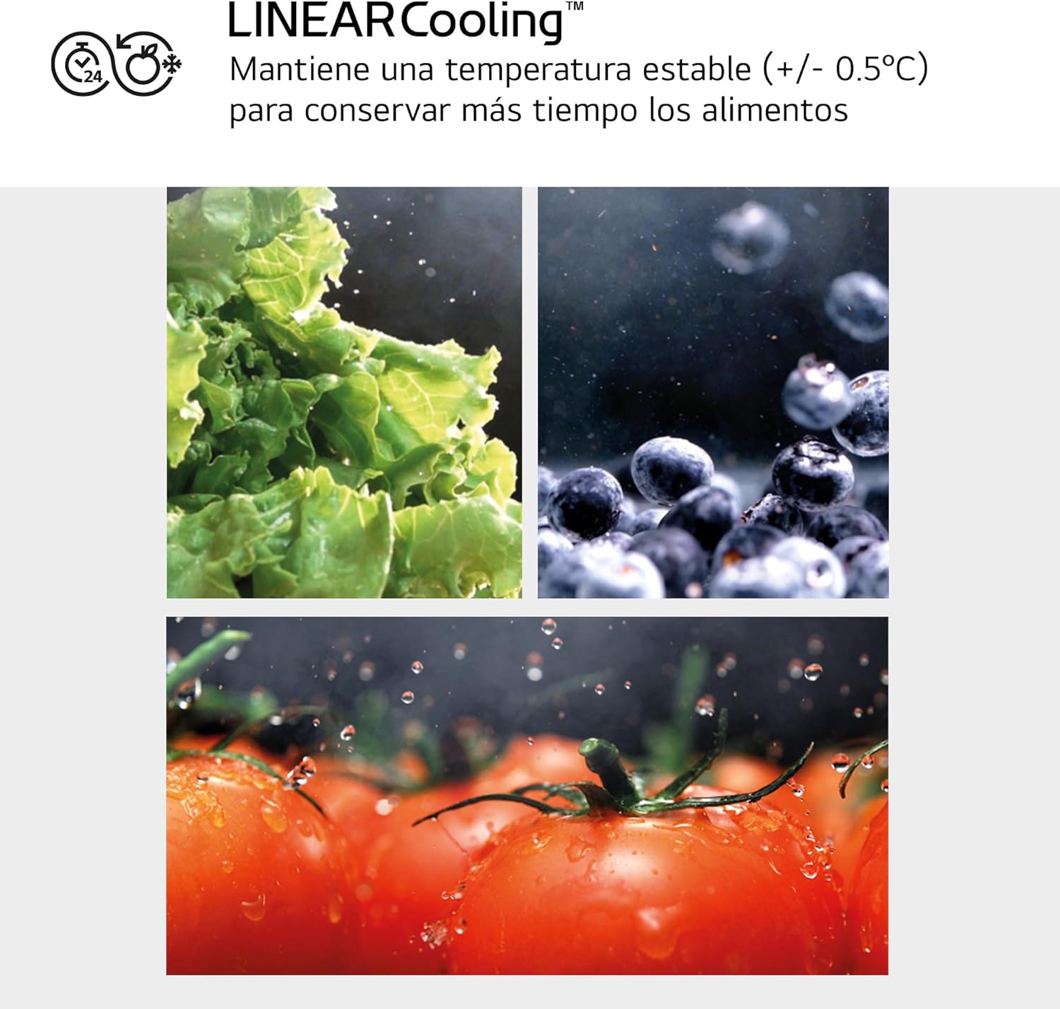 LG GBV3100DSW - Friforífico Combi Door Cooling+, 1.86m, Total No Frost, Clasificación D, Capacidad de 374l, Serie 300, Blanco