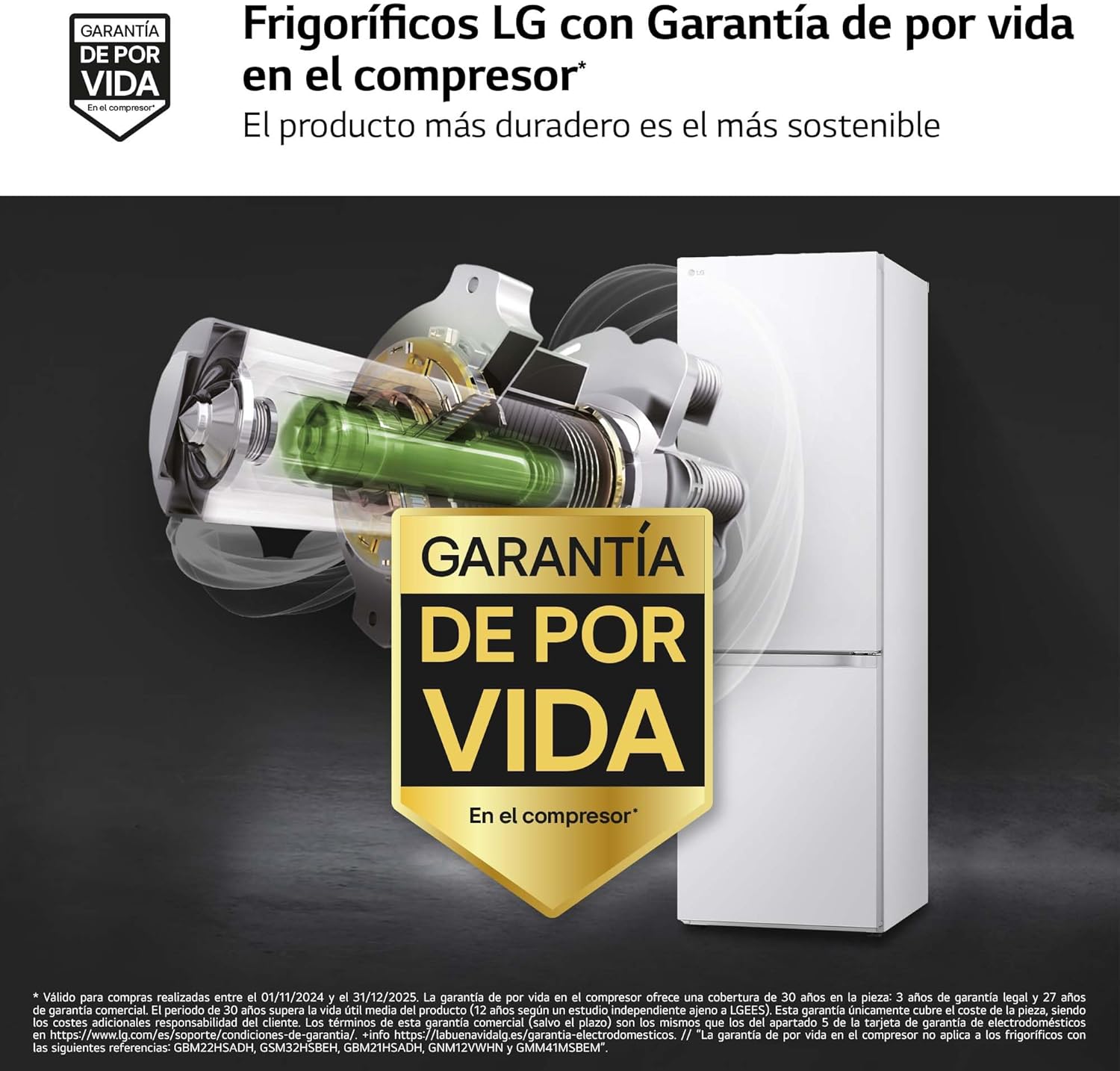 LG GBV3100DSW - Friforífico Combi Door Cooling+, 1.86m, Total No Frost, Clasificación D, Capacidad de 374l, Serie 300, Blanco