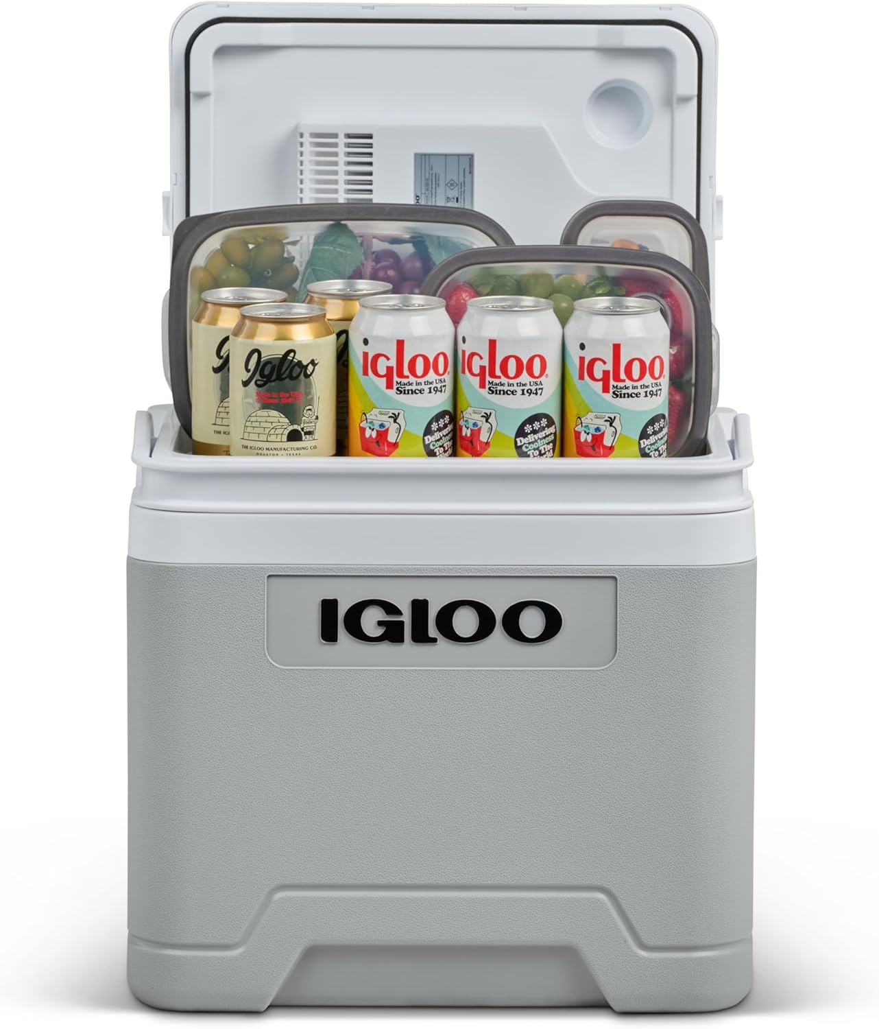 IGLOO IE24 AC/DC frigorífico elétrico, 24 litros, mini frigorífico com conexão de 12/230 V para carro, barco e lazer, cinzento