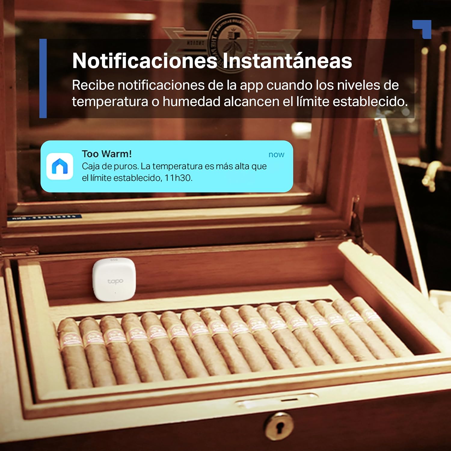 Tapo TP-Link T310 Sensor de temperatura e humidade Wi-Fi inteligente, alta precisão, controlo à distância, bateria longa duração (requer hub)