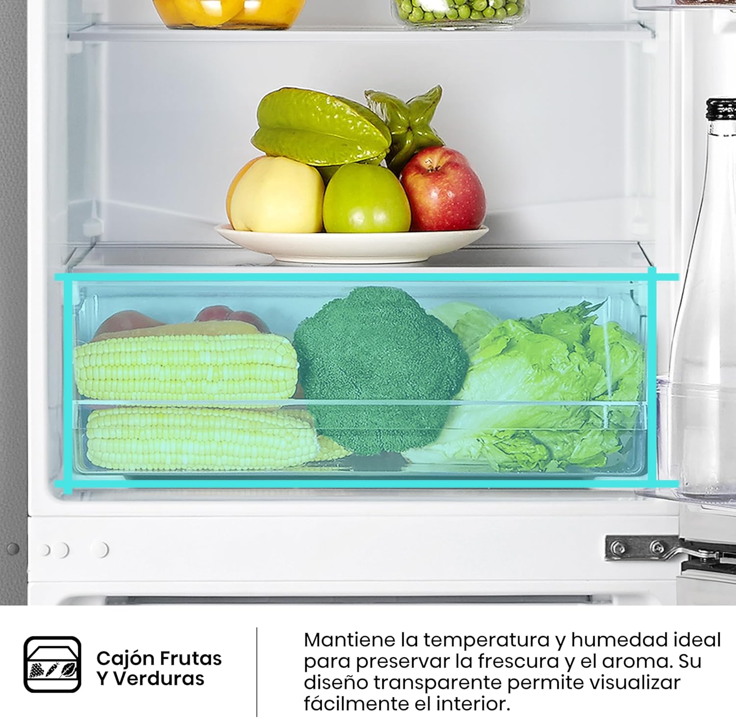 Hisense RB343D4CDE Frigorífico combinado cíclico, 269 l, classe E, largura 55 cm x altura 180 cm, porta reversível, abertura de portas de 90º, iluminação LED, gavetas frutas e legumes, grande