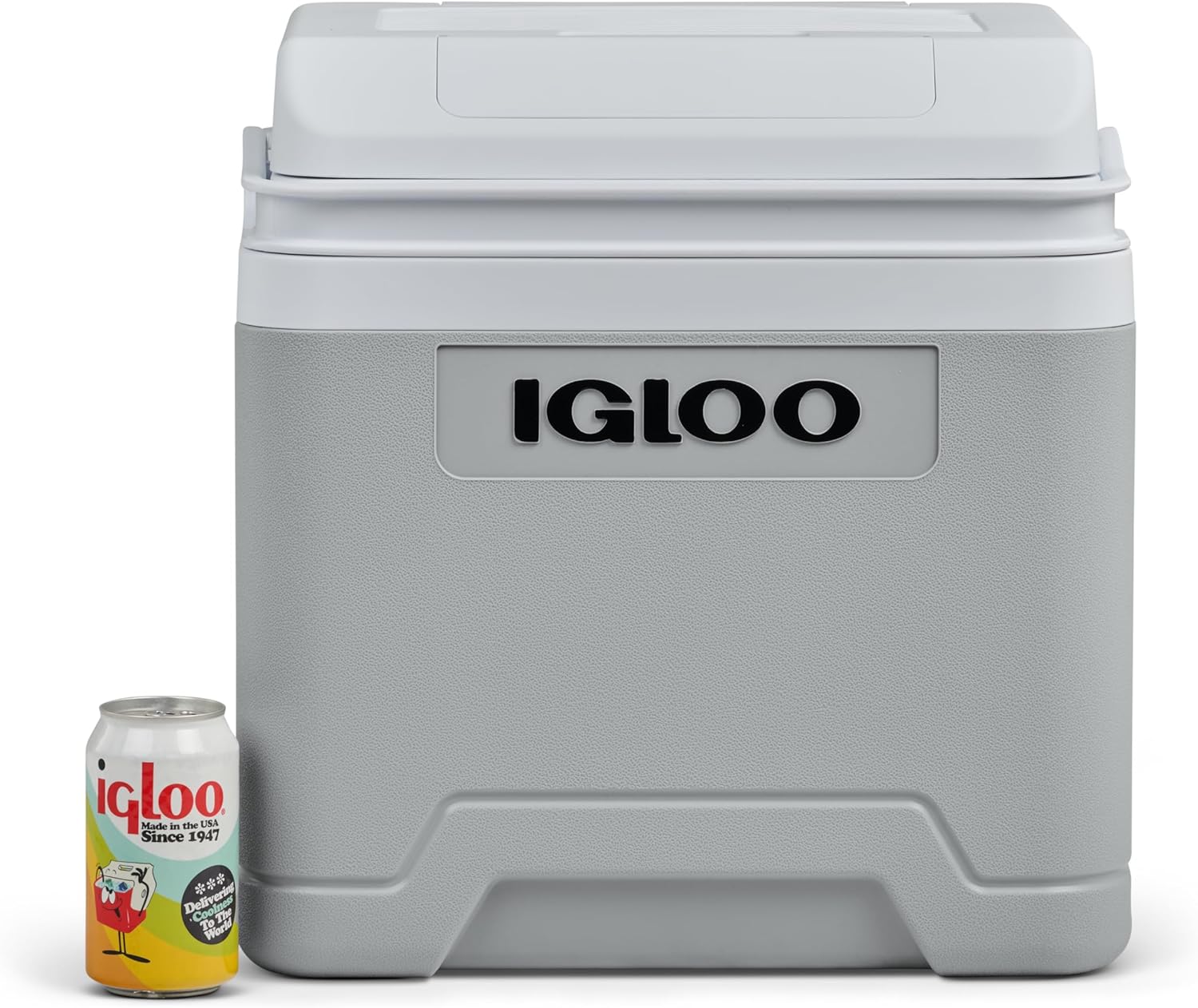 IGLOO IE24 AC/DC frigorífico elétrico, 24 litros, mini frigorífico com conexão de 12/230 V para carro, barco e lazer, cinzento