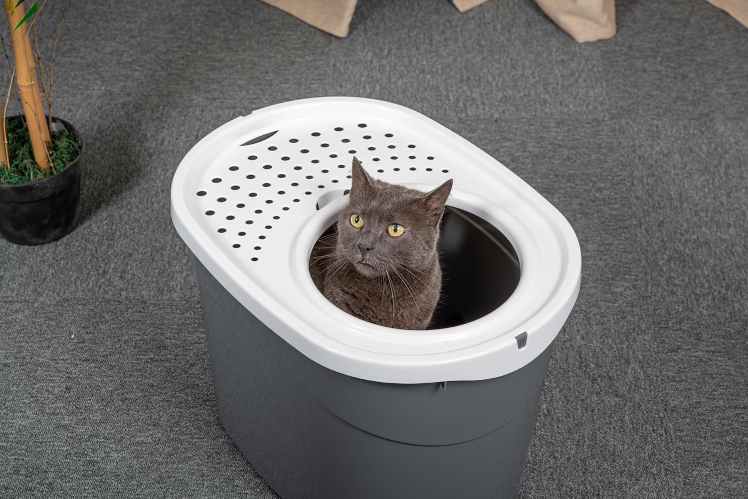 Iris Ohyama Areneiro de gato coberto com pá, até 7 kg, cinzento/branco, caixa de areia para gatos, caixa, para gatos grandes e pequenos, fechado, caça-louças, WC, livre de BPA, Cat Litter Box, TECL-20