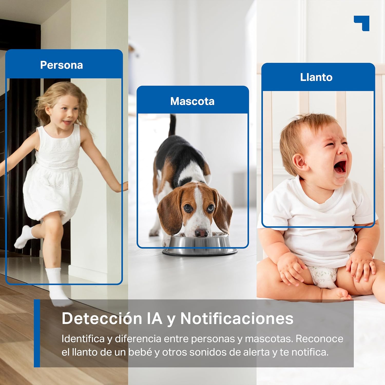 Tapo C220 - IA Cámara Vigilancia 360°, 2K 4MP QHD, Inteligente de IA, Visión Nocturna, Audio Bidireccional, Detección Movimiento, Admite Tarjeta SD 512G, Control Remoto, Fácil configuración
