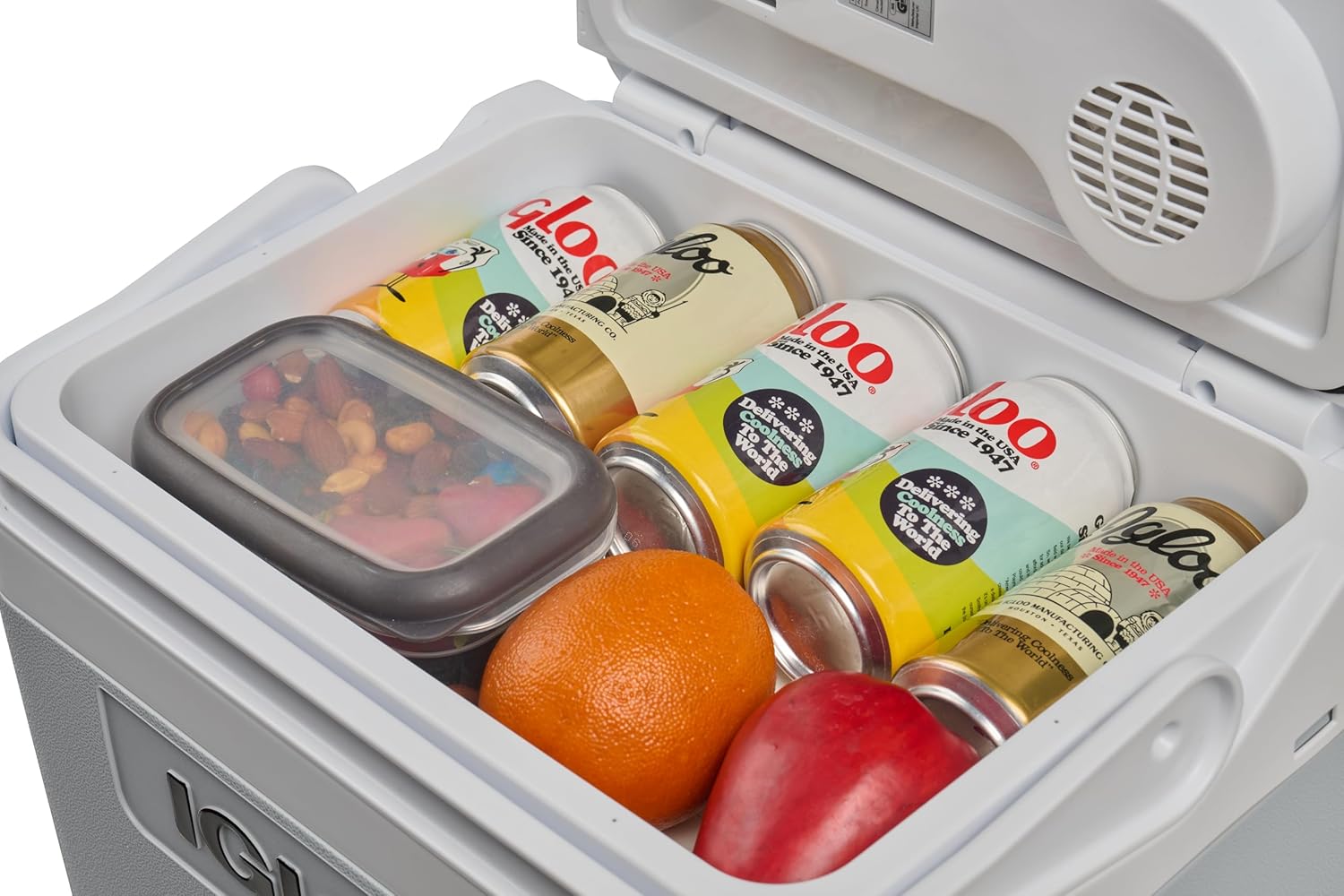 IGLOO IE24 AC/DC frigorífico elétrico, 24 litros, mini frigorífico com conexão de 12/230 V para carro, barco e lazer, cinzento