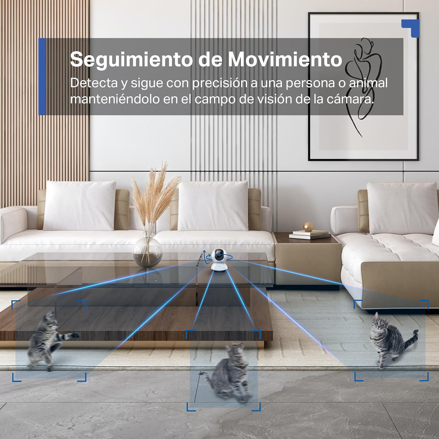 Tapo C220 - IA Cámara Vigilancia 360°, 2K 4MP QHD, Inteligente de IA, Visión Nocturna, Audio Bidireccional, Detección Movimiento, Admite Tarjeta SD 512G, Control Remoto, Fácil configuración