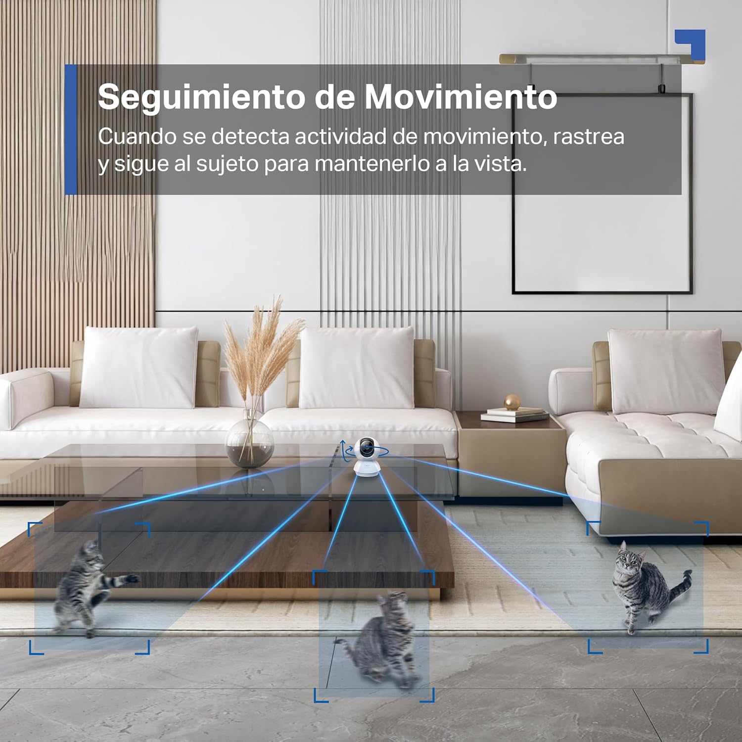 Tapo C230 - IA Cámara Vigilancia 360°, 3K 5MP, Alarma Sonora/Luz, Visión Nocturna, Audio Bidireccional, AI Detección Movimiento, Control Google/Alexa, Tarjeta SD hasta 512G, Fácil configuración