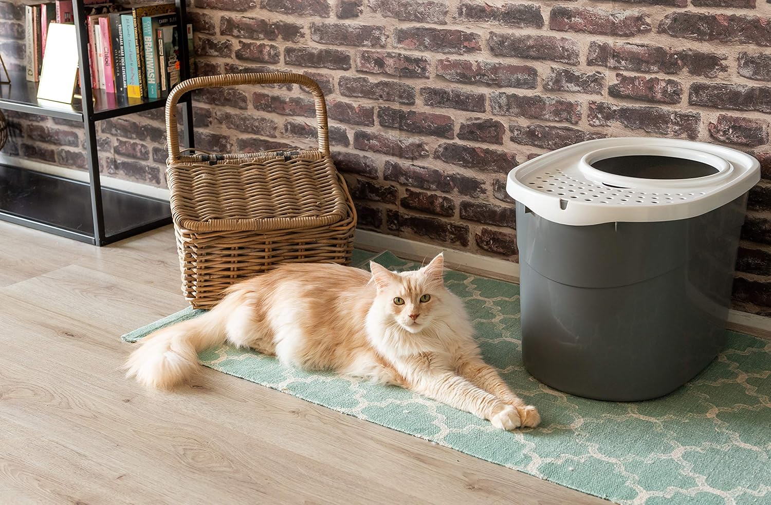 Iris Ohyama Areneiro de gato coberto com pá, até 7 kg, cinzento/branco, caixa de areia para gatos, caixa, para gatos grandes e pequenos, fechado, caça-louças, WC, livre de BPA, Cat Litter Box, TECL-20