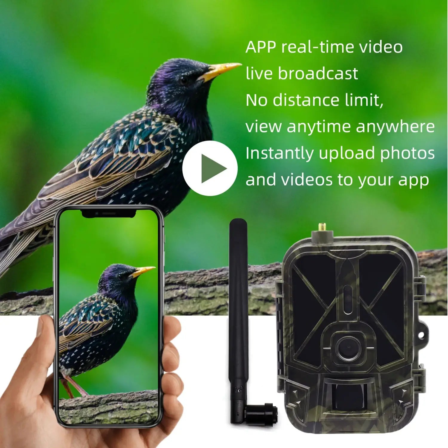 Câmara de seguimento 4G 4K 36MP APP Control Bateria de lítio 8000MA Câmara de caça Visão noturna Reconhecimento de vida selvagem