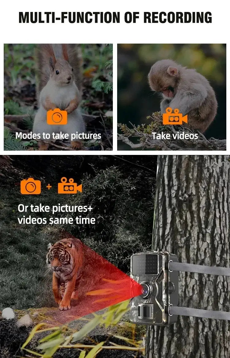 Câmara de caça com visão noturna infravermelha selvagem, câmara de rasto de movimento ao ar livre, seguimento ativado, armadilha fotográfica, câmara de vigilância selvagem