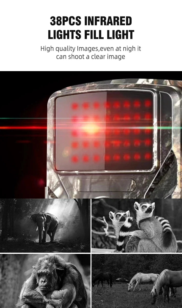 Câmara de caça com visão noturna infravermelha selvagem, câmara de rasto de movimento ao ar livre, seguimento ativado, armadilha fotográfica, câmara de vigilância selvagem
