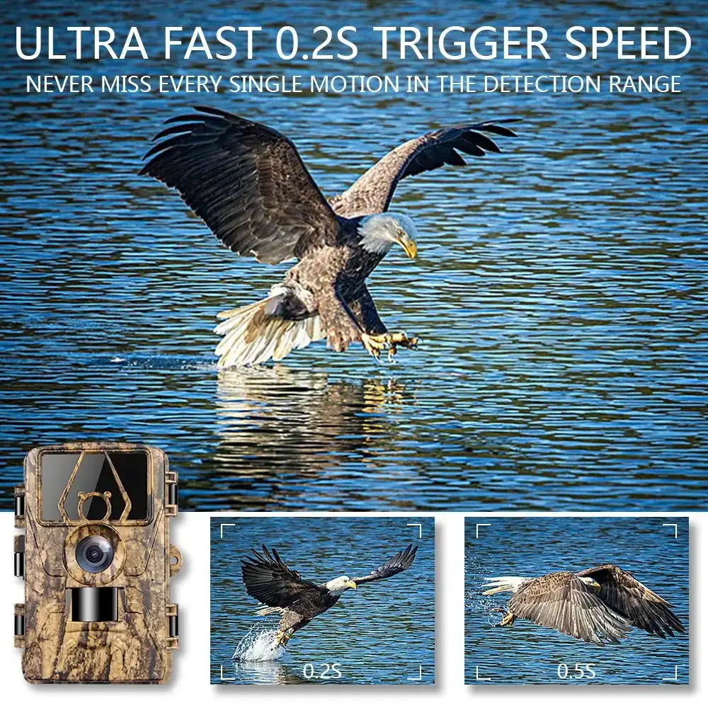 Câmara de rasto à prova de água 8K WiFi PR801W 60MP com suporte para visualização de aplicação para caça de animais ao ar livre, visão noturna e monitorização de quintas