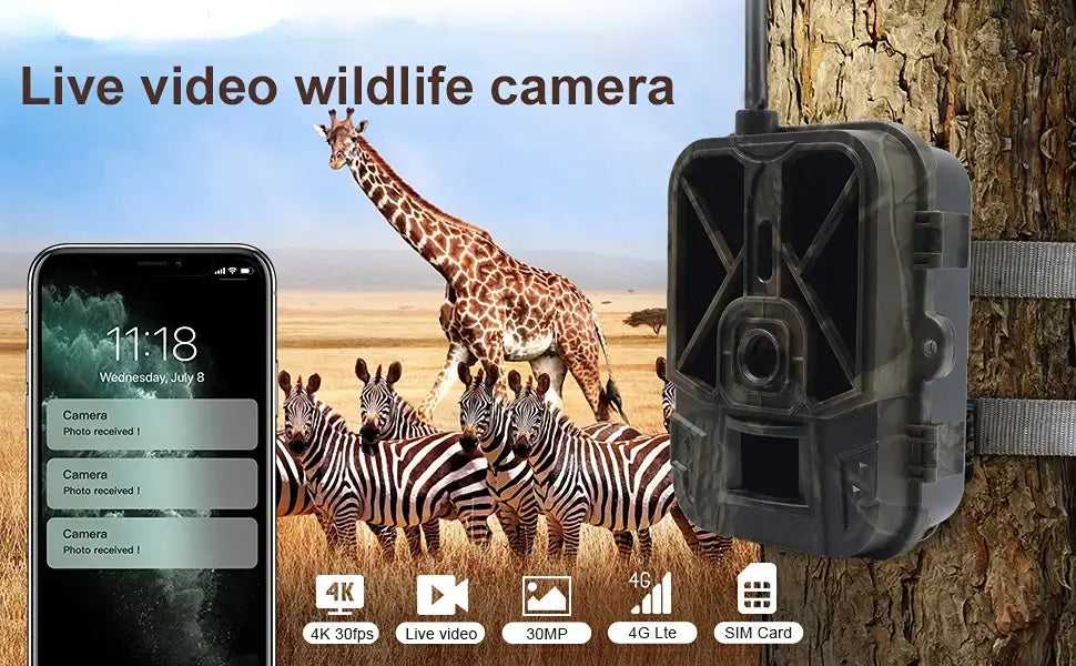 Câmara de seguimento 4G 4K 36MP APP Control Bateria de lítio 8000MA Câmara de caça Visão noturna Reconhecimento de vida selvagem