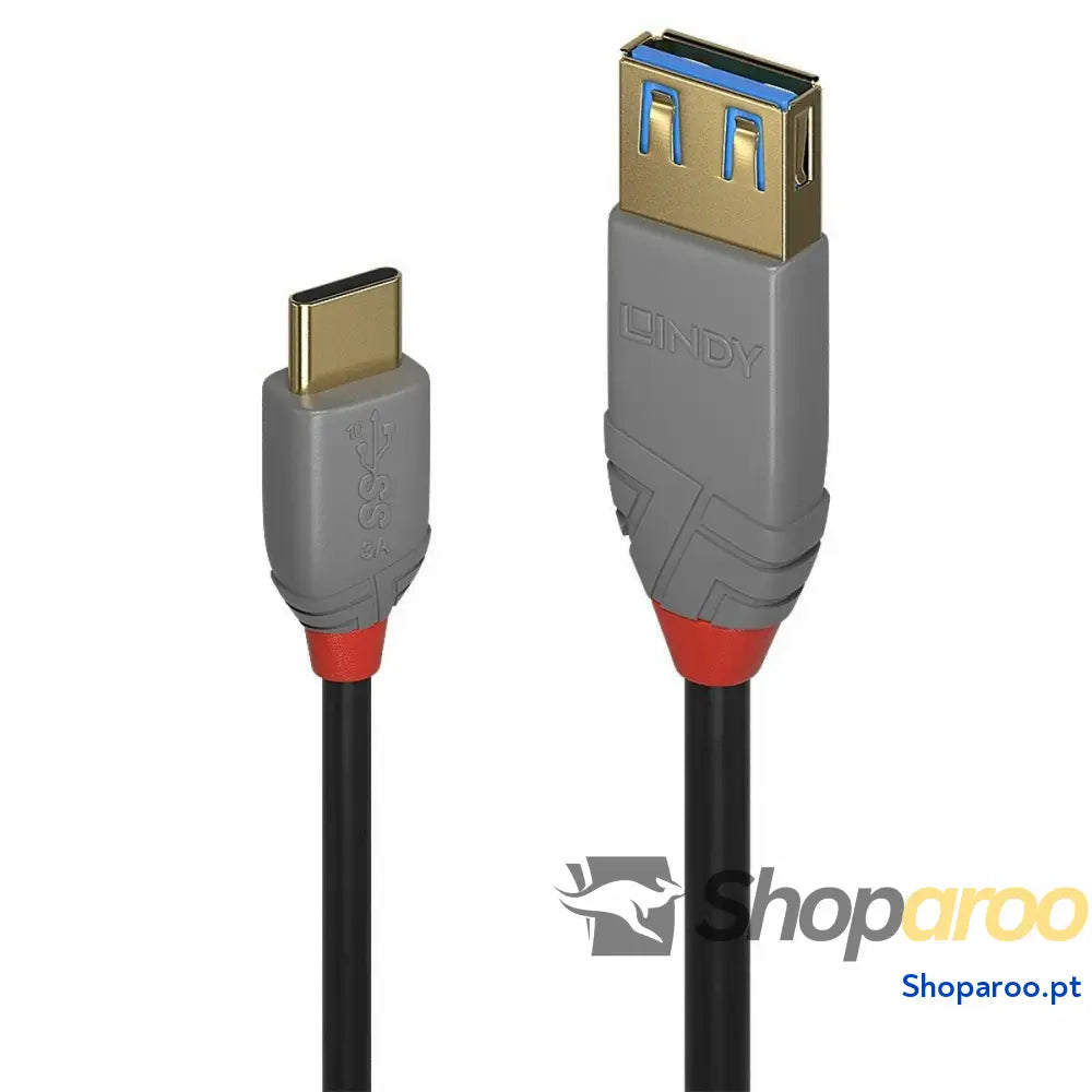 Adaptador USB C para DisplayPort LINDY 36895 150 cm Preto