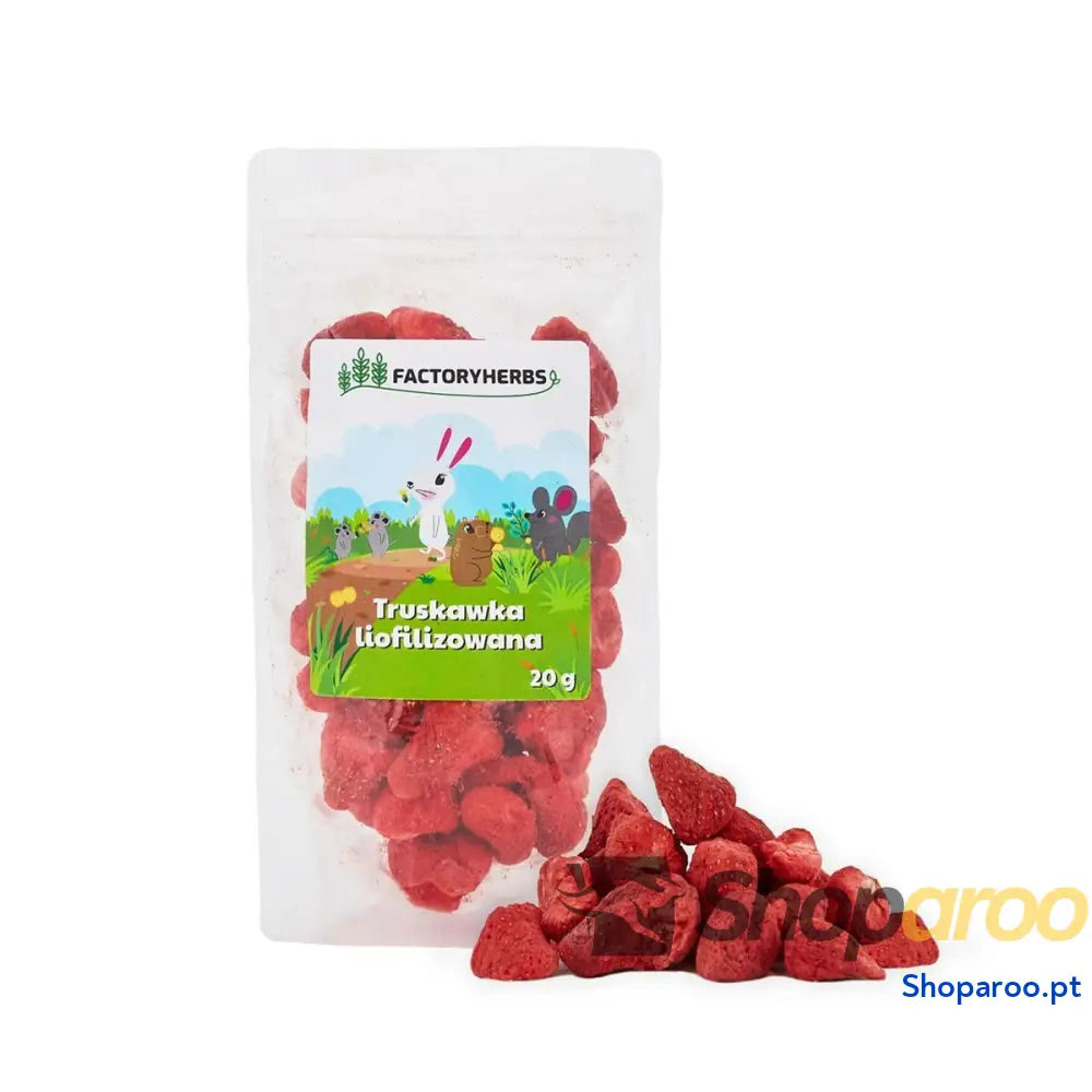 Alimento para Coelhos Factoryherbs Freeze-dried strawberries Chinchila Cobaia Hamster Ratazana Rato Roedores Pássaros