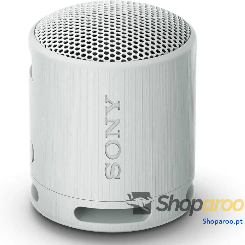 Altifalante Bluetooth Portátil Sony XB100 Cinzento