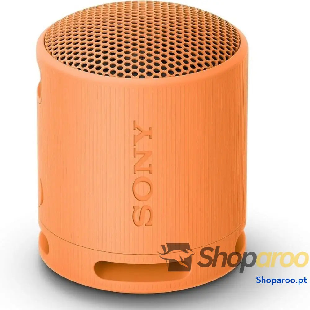 Altifalante Bluetooth Portátil Sony XB100 Laranja