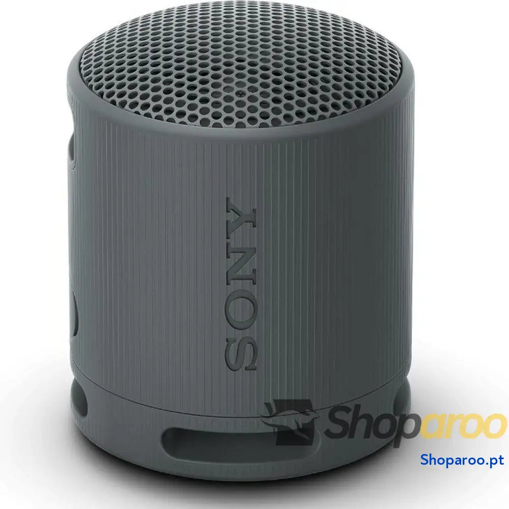Altifalante Bluetooth Portátil Sony XB100 Preto