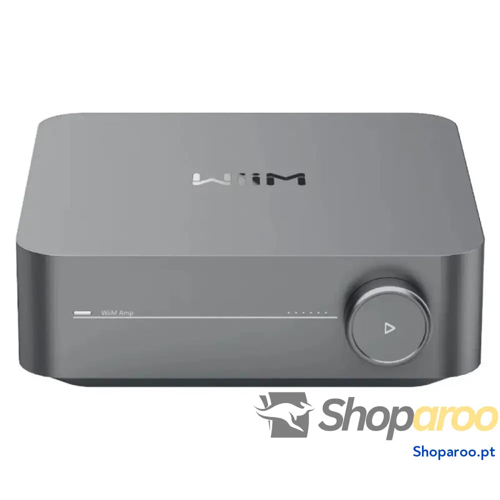 Amplificador Wiim WIIN AMP