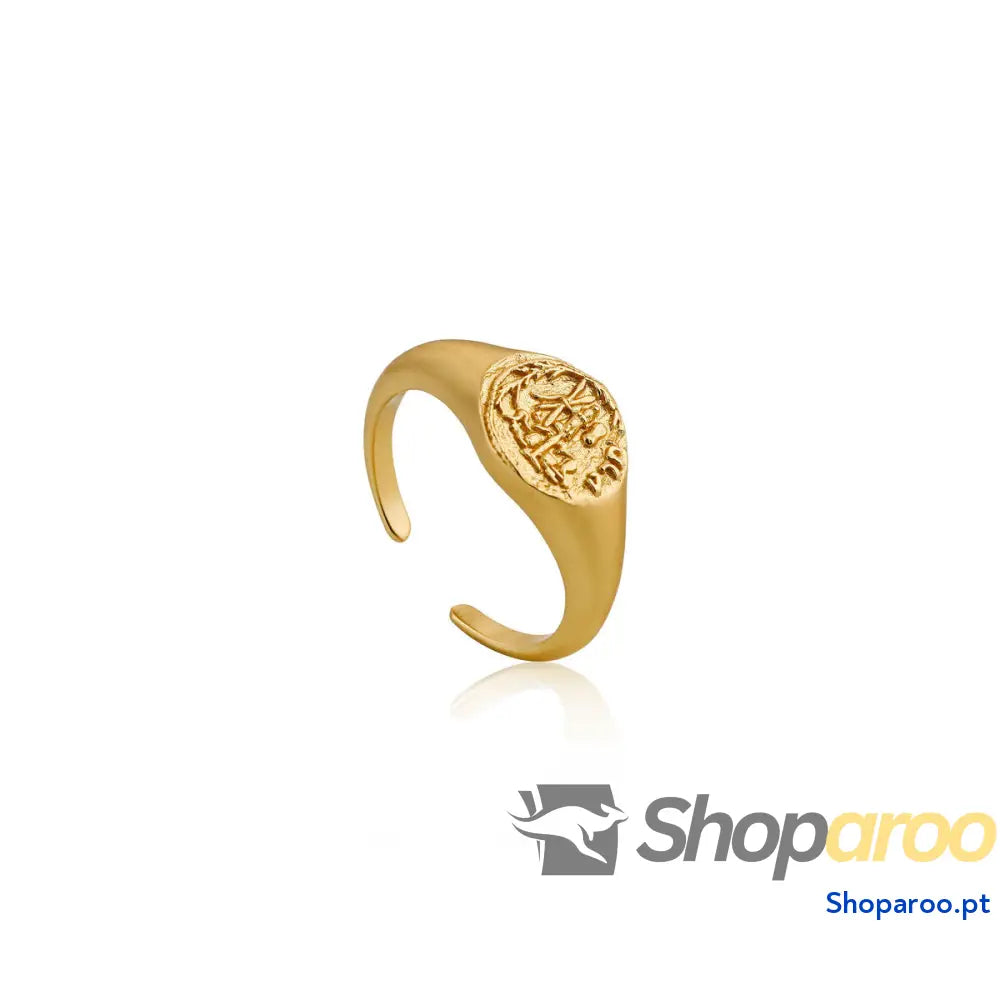 Anel feminino Ania Haie R009-03G (13)