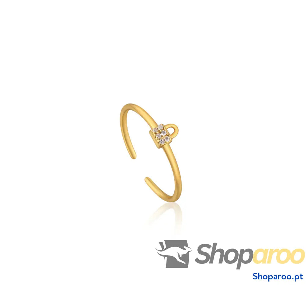 Anel feminino Ania Haie R032-02G (13)