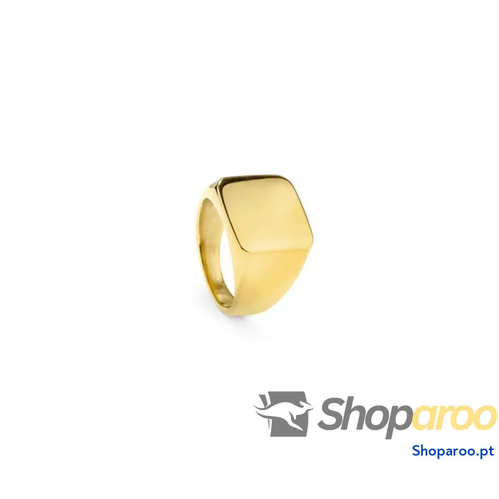 Anel masculino Radiant RH000027-24 24