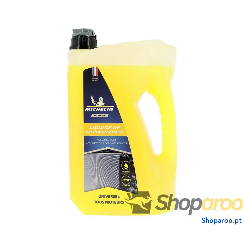 Anticongelante Michelin IMP009214 4 L