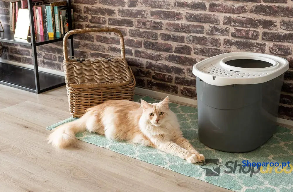 Areneiro de gato coberto com pá até 7 kg cinzento/branco caixa areia para gatos grandes e pequenos fechado caça louças