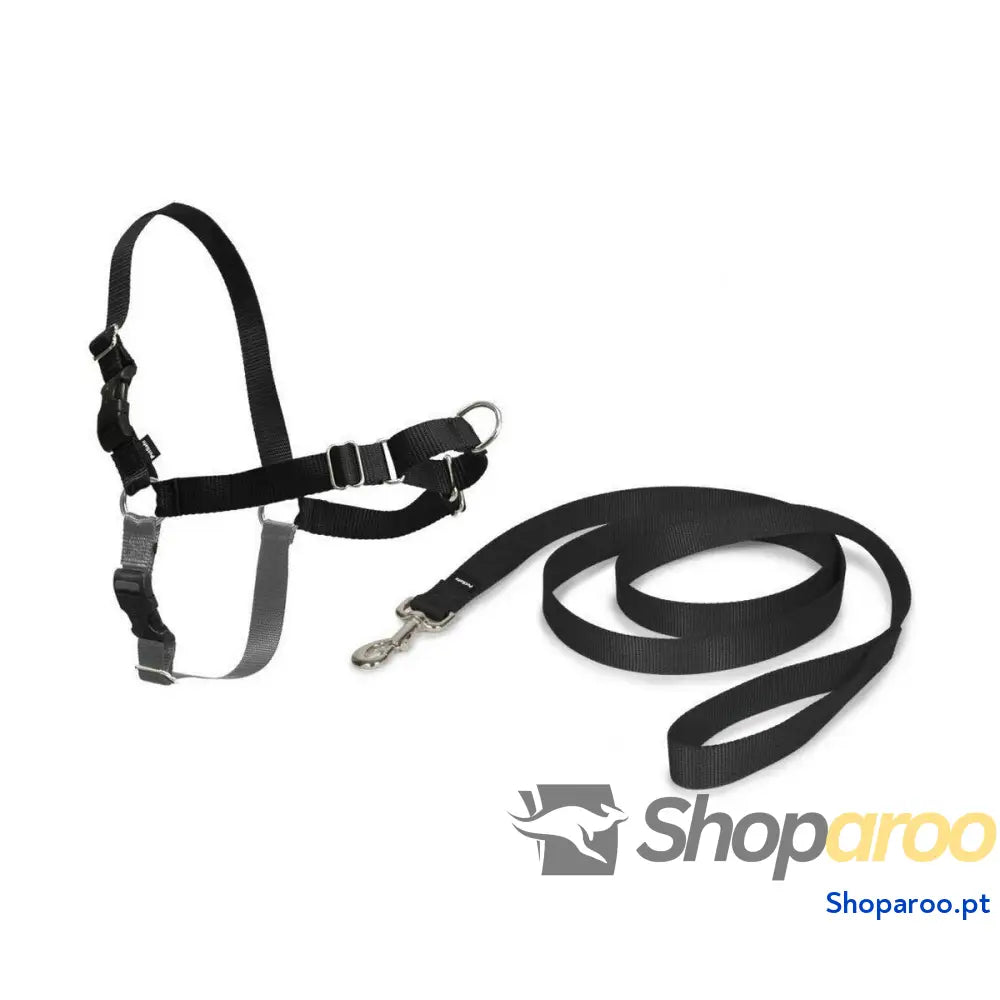 Arnês para Animais Domésticos PetSafe Easy Walk Preto Medianav (M)