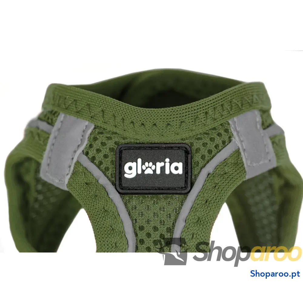 Arnês para Cães Gloria 41,4-43 cm Verde S 29,4-32,6 cm