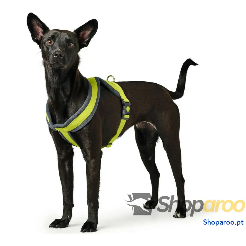 Arnês para Cães Hunter London Comfort XS-S 39-47 cm Lima