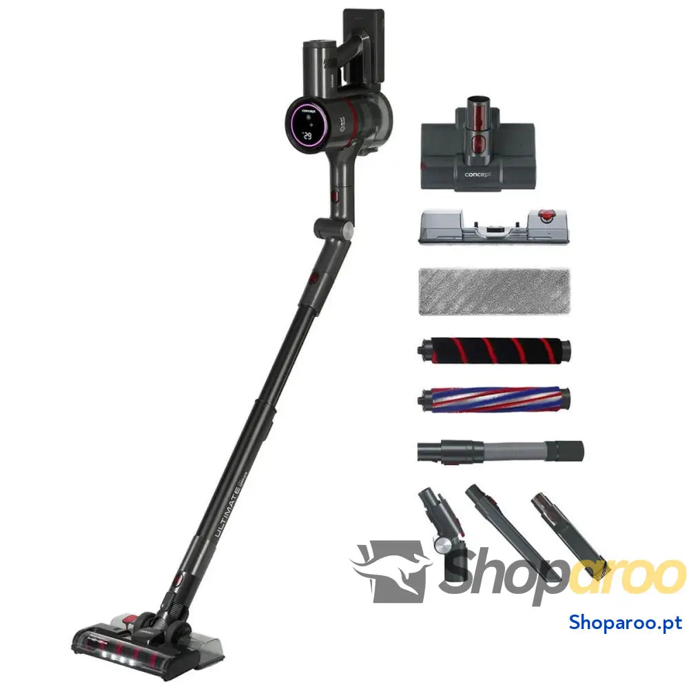 Aspirador Escova Concept VP6250 500 W