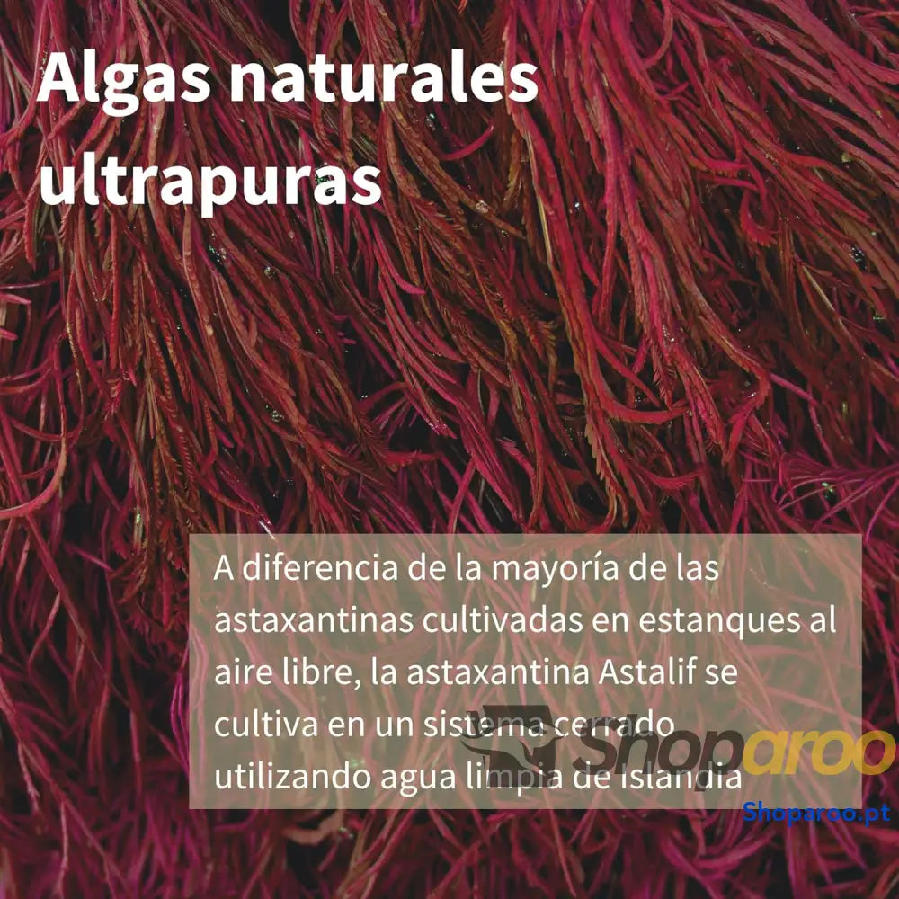 Astaxantina natural Igennus 42 mg antioxidante para saúde cardiovascular