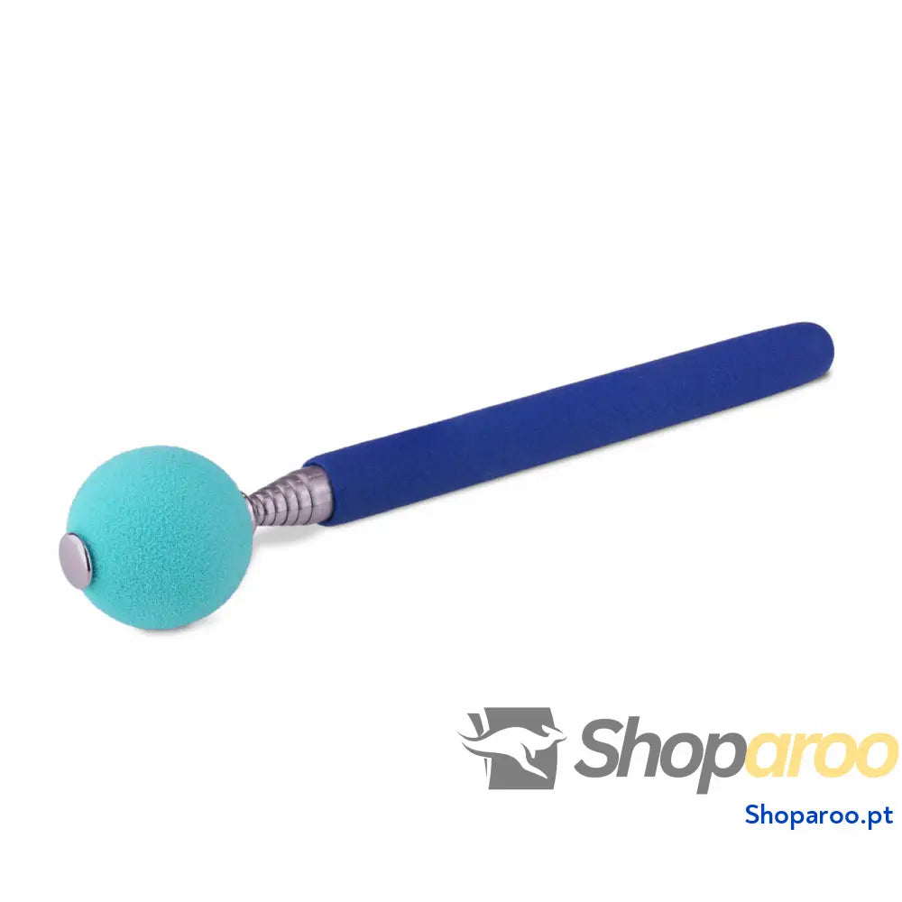 Brinquedo de treino Coachi Stick Azul