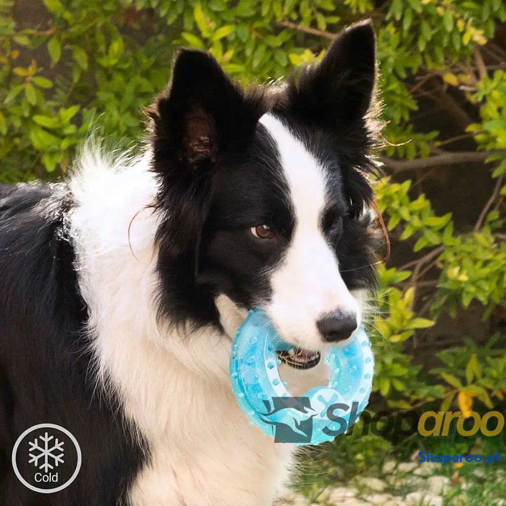 Brinquedo Mordedor Congelável para Animais de Estimação 2 em 1 Glubiz InnovaGoods