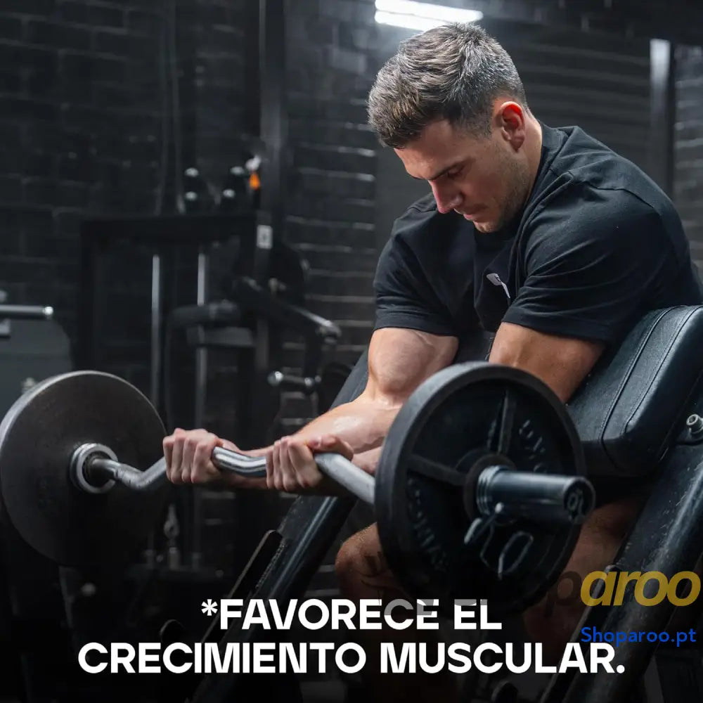 Bulk Pure Whey Protein 500 g 16 doses produto rico em proteínas baixo teor de açúcar absorção rápida sem adição sabores