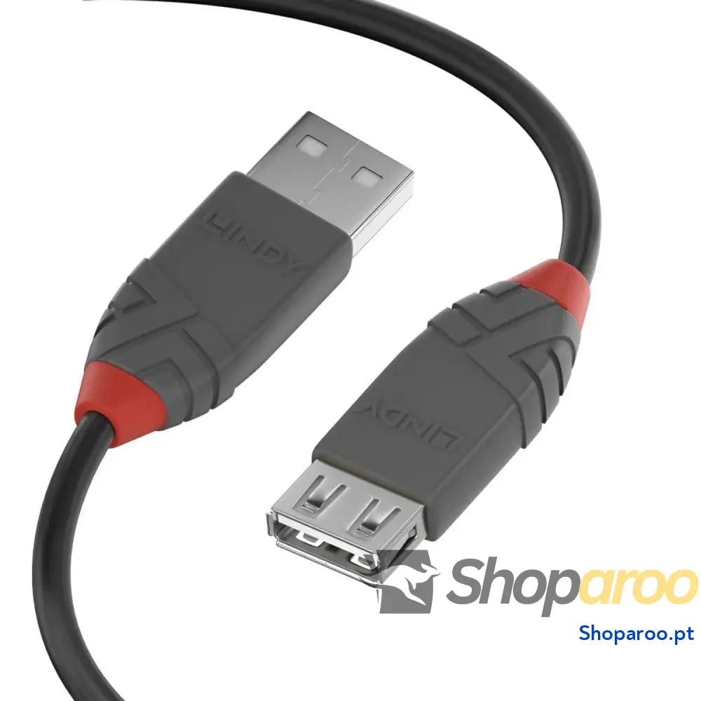 Cabo DisplayPort LINDY 36703 2 m Preto